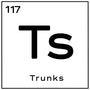 T's Trunks